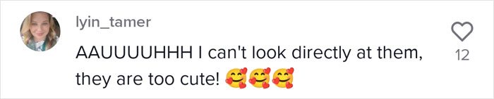 Proud Raccoon Momma Brings Her 4 Kids To Meet The Lady That’d Been Feeding Her Proud Raccoon Momma Brings Her 4 Kids To Meet The Lady That’d Been Feeding Her