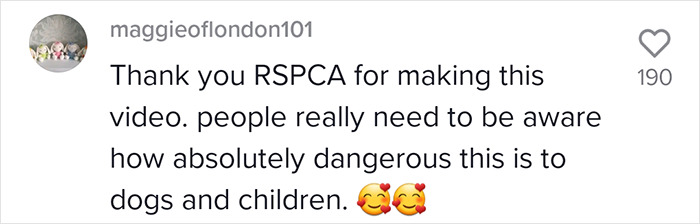 To Show How Dangerous It Is To Leave A Dog In A Car On A Hot Day, RSPCA Officer Trapped Himself In A Car For 25 Minutes
