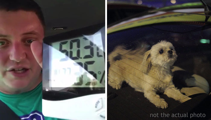 To Show How Dangerous It Is To Leave A Dog In A Car On A Hot Day, RSPCA Officer Trapped Himself In A Car For 25 Minutes