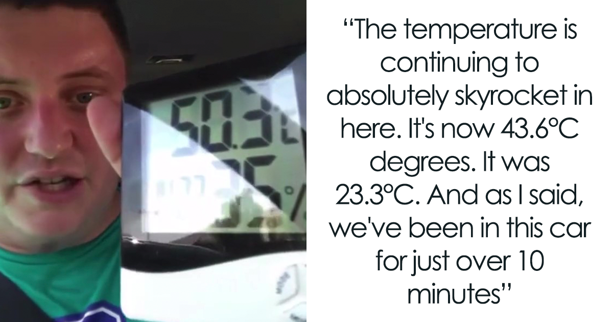 To Show How Dangerous It Is To Leave A Dog In A Car On A Hot Day, RSPCA Officer Trapped Himself In A Car For 25 Minutes - Vimarsana News