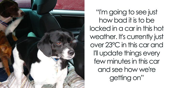 To Show How Dangerous It Is To Leave A Dog In A Car On A Hot Day, RSPCA Officer Trapped Himself In A Car For 25 Minutes