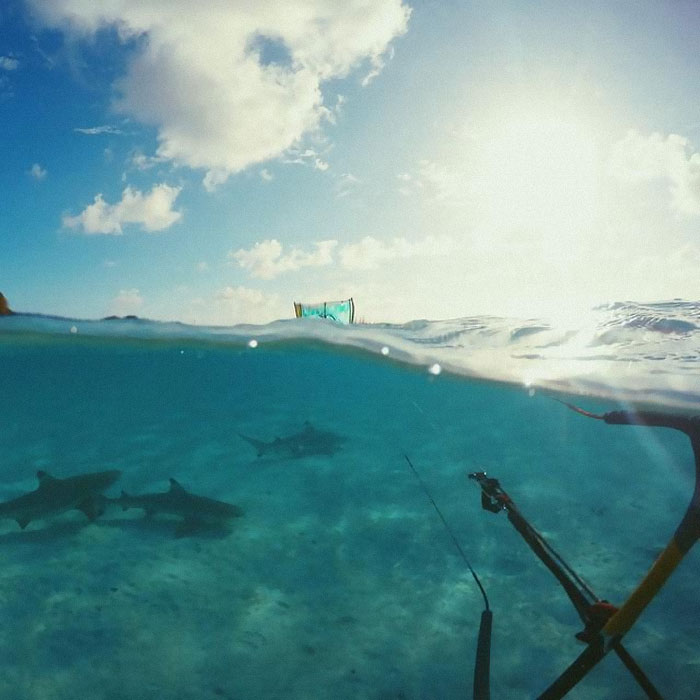 When The Kite Falls Out Of The Sky While Kitesurfing And You See This...