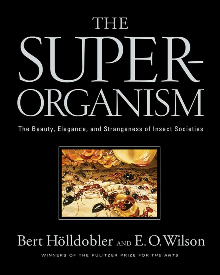 The Superorganism: The Beauty, Elegance, And Strangeness Of Insect Societies By Bert Hölldobler And Edward O. Wilson