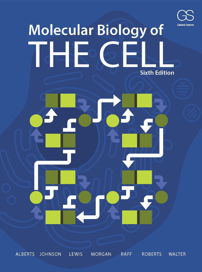 Molecular Biology Of The Cell By Bruce Alberts; Peter Walter; Julian Lewis