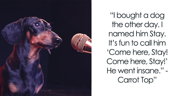 Stand-up Comedy Jokes For Comedians By Comedians That Don’t Disappoint