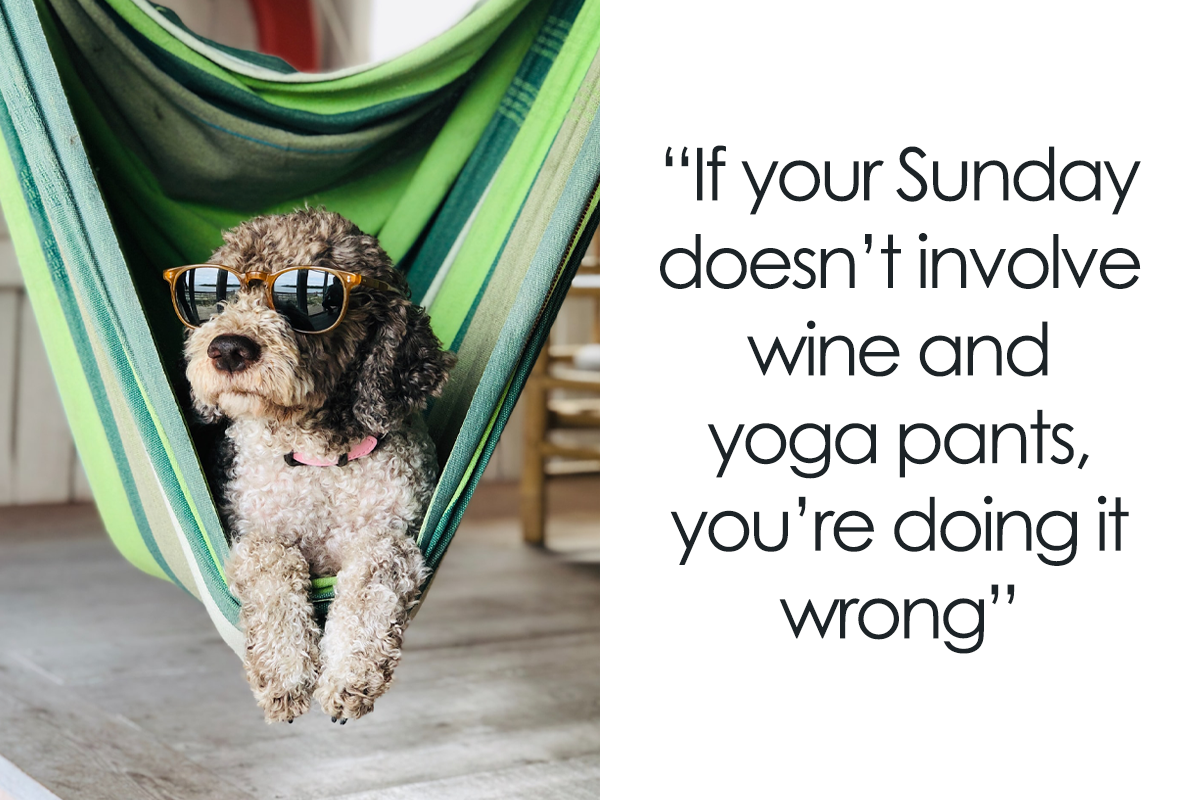 99 Sunday Quotes That'll Make This Day So Much Better | Bored Panda