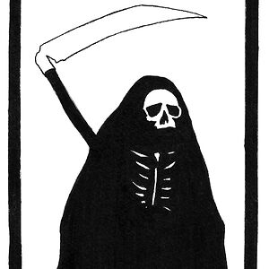 benwolfsaddress avatar