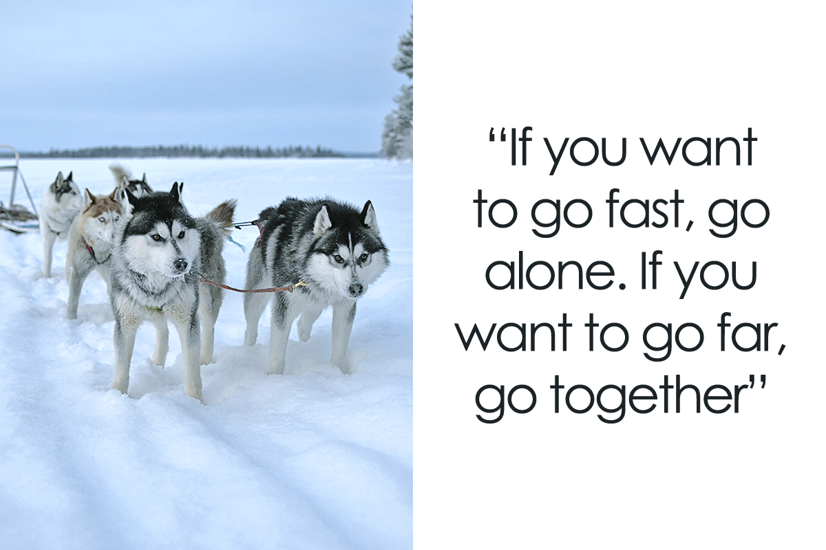 134 Best Teamwork Quotes That Will Inspire You To Work Hand In Hand | Bored  Panda