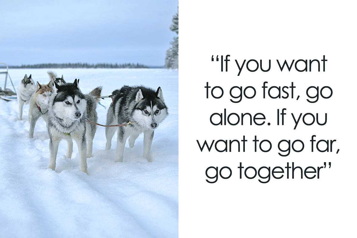 134 Best Teamwork Quotes That Will Inspire You To Work Hand In Hand Bored Panda