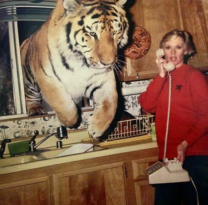 Actress And Activist Tippi Hedren In The Kitchen Of Her Home In Acton, California In 1992. Tippi Was On The Phone As A Tiger Named Zoe Jumped Through The Kitchen Window. Photography By Eddie Sanderson
