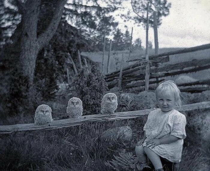 A Young Girl With Three, Baby Owls. Photo By Oskar Jarén, Sweden, 1925