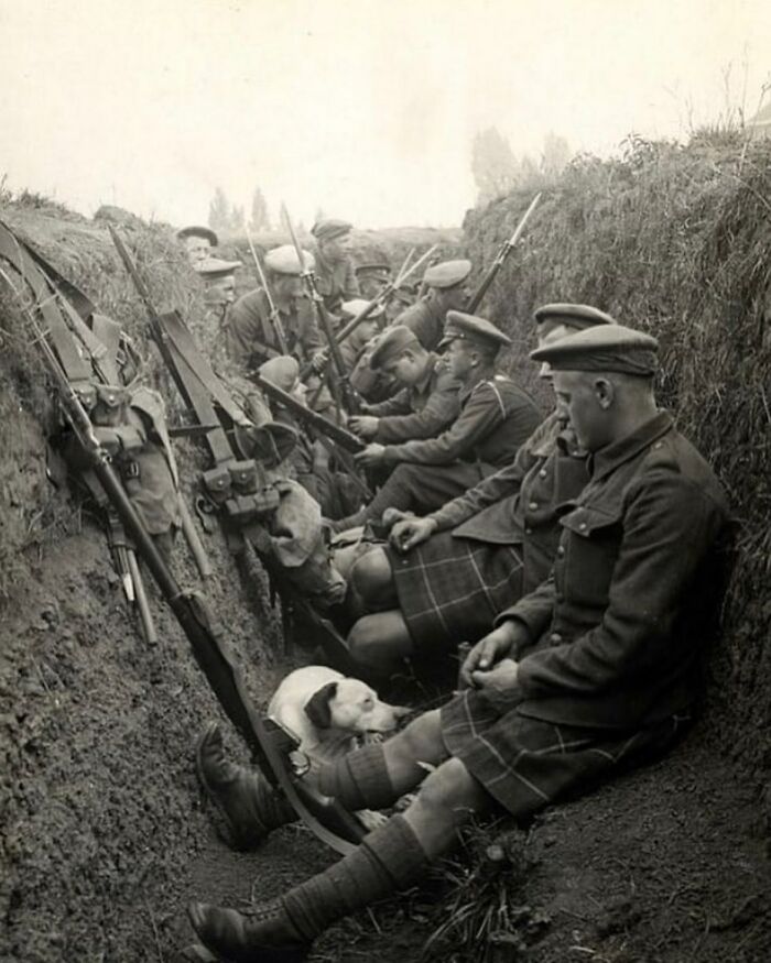 Hombres de los Seaforth Highlanders descansan en una trinchera con un perro durante la Primera Guerra Mundial, 1915