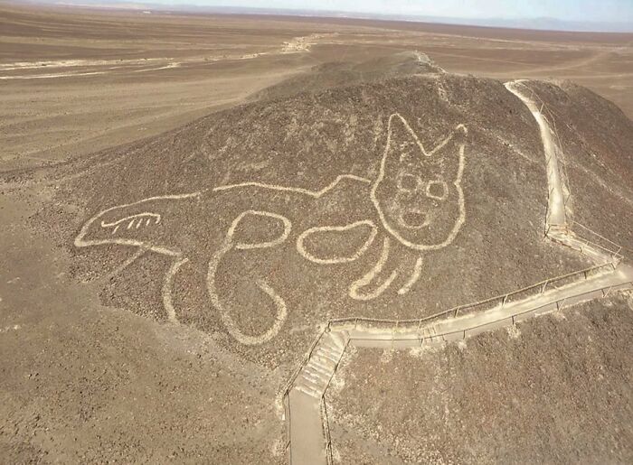 A 2000-Year-Old Giant Cat Geoglyph Found Amid Peru's Famous Nazca Lines