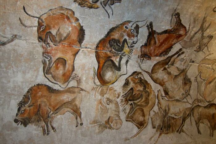 Bison Paintings In The Cave Of Altamira, Spain. They Were Painted Over 20,000 Years Between 35,000 And 15,000 Bc