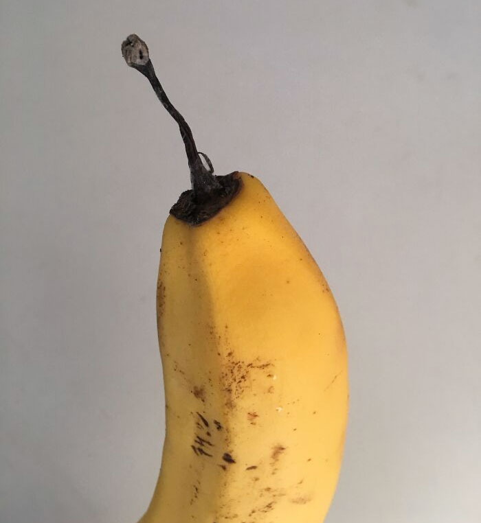 The End Of This Banana Looks Like A Burnt Match