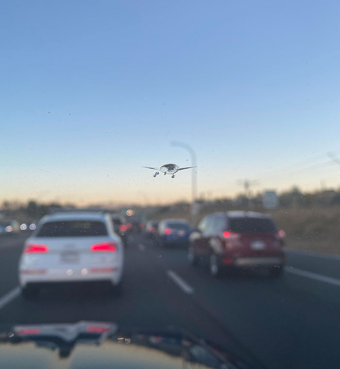 The Crack On My Wife’s Windshield Looks Like An Airplane From The Front