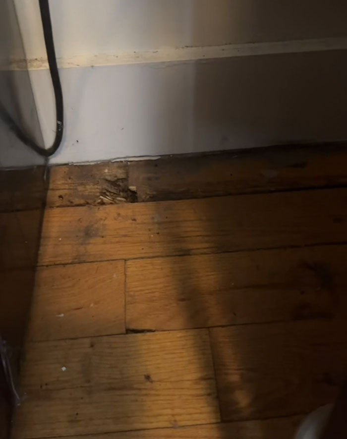 "Don’t Move To NYC Right Now": Woman Shows What Her Apartment Looks Like After Landlord Suddenly Increases Her Rent By $700