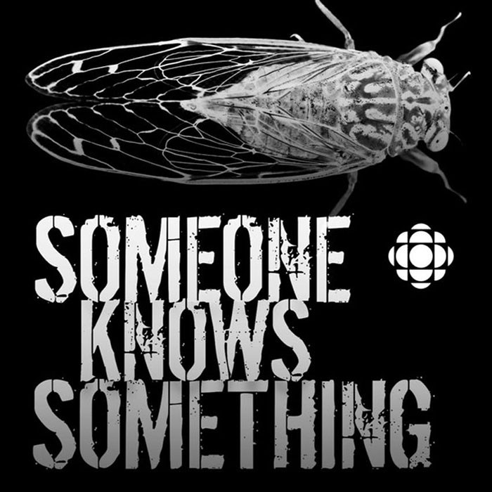 Someone Knows Something podcast cover