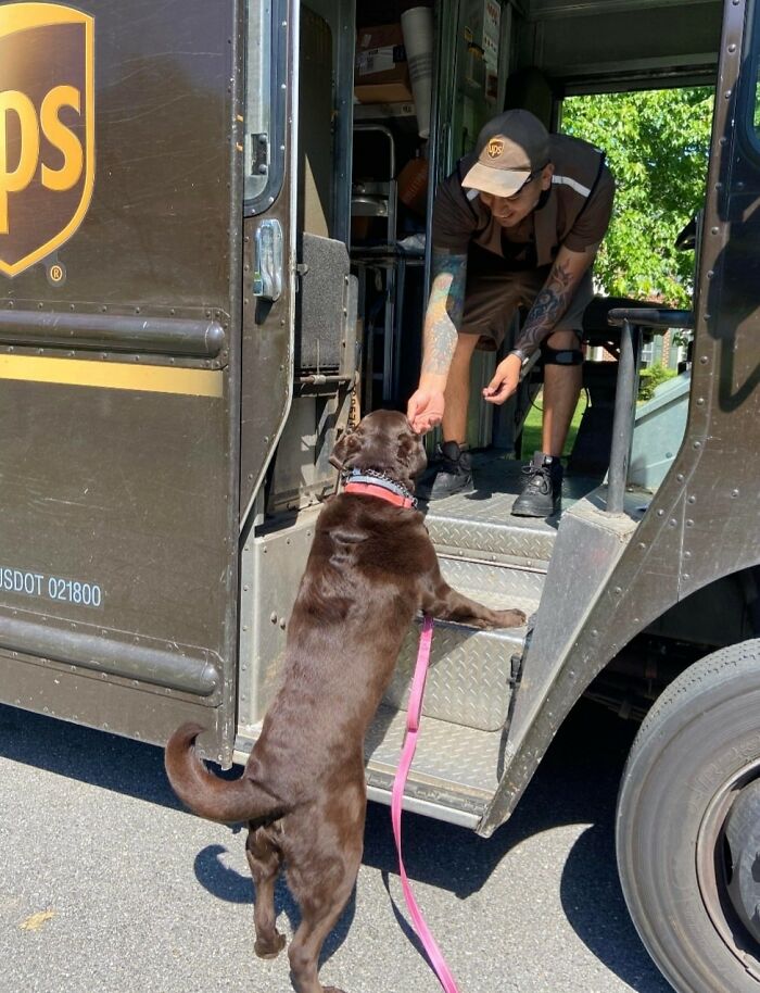 I’m The Dog Walker. Brownie Was So Happy To Receive A Treat From The UPS Driver! Darnestown, Maryland