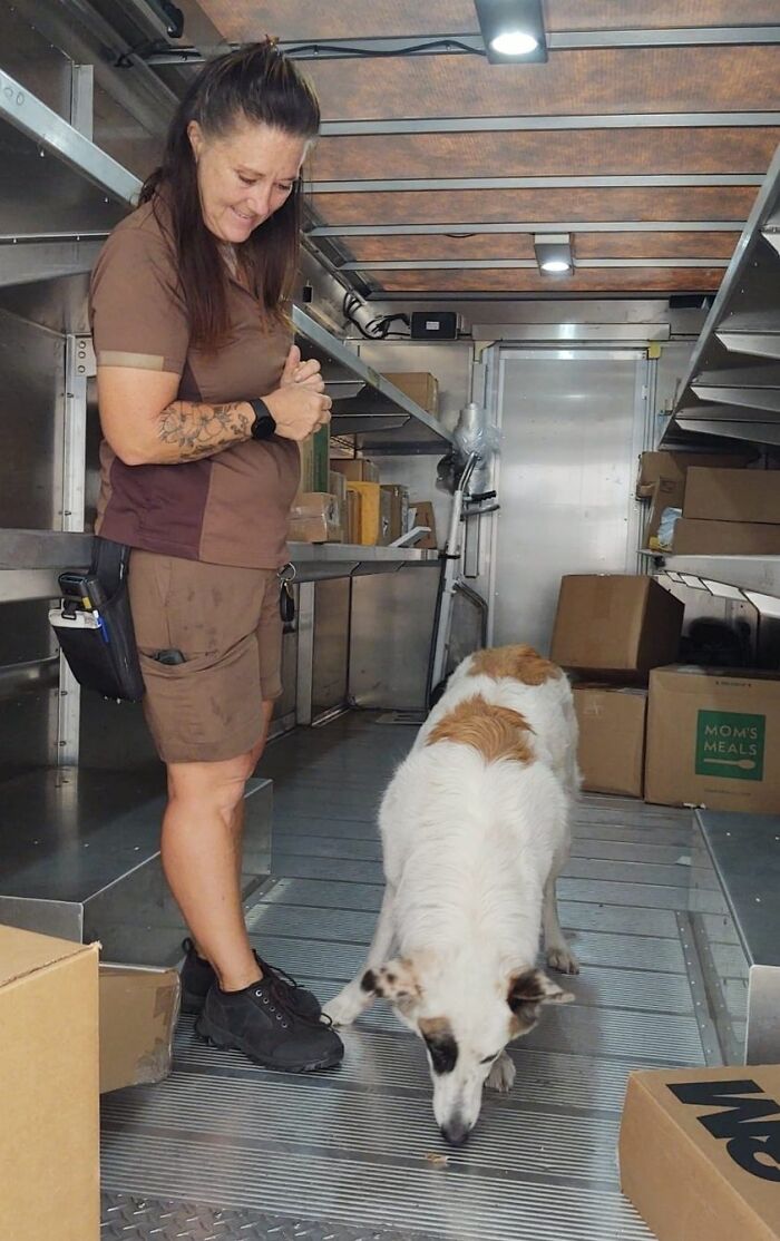 Lucy Inspecting The Truck Behind Our Kissimmee Fl Store. Thanks For The Treats!!
