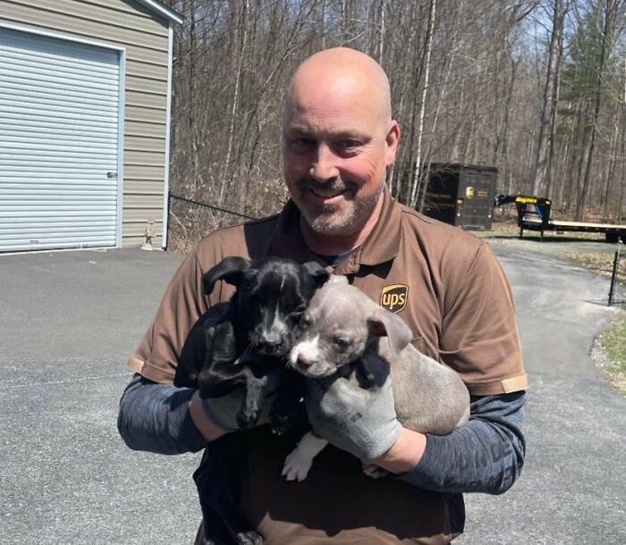 Two Scoliosis Puppies With Their Favorite Driver In Clifton Park NY