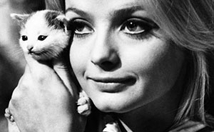 Journalist Collects Vintage Photos Of Cats Posing Together With Famous And Interesting Personalities Of The Past (55 New Pics)