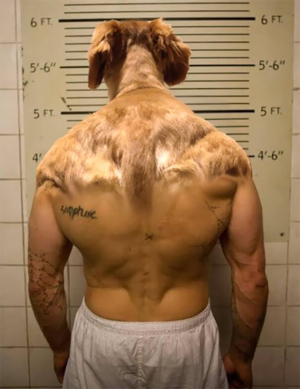 viral-muscular-dog-62d946796fcf5.jpg