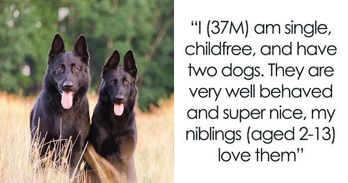 Guy Has A “No Chocolate” Rule While Babysitting His Sibling’s Kids, They Break It So He Says He’ll Never Babysit Again