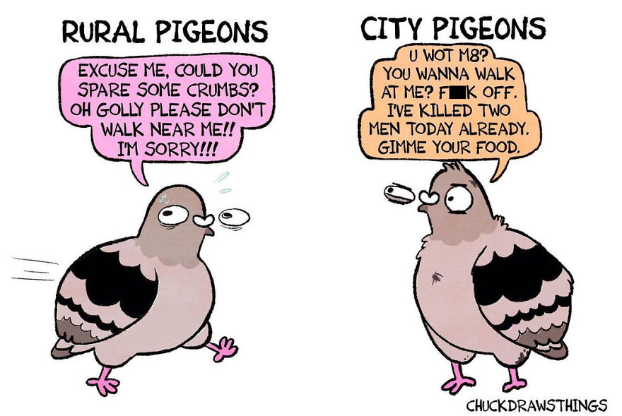 Artist Who Lives With Anxiety And Depression Creates A Pigeon As The Narrator Of His Comics That Will Bring A Smile To His Face (Interview With Artist)