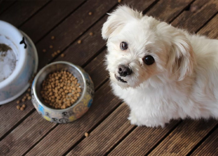 Someone Asks Cashiers To Share What Items Make Them Silently Judge People Who Buy Them, 50 Respond