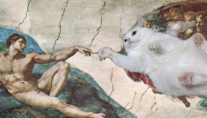 Sassiest Dwarf Kitten Comes Into Woman's Home, Steals Her Heart And Becomes Internet Sensation Sassiest Dwarf Kitten Comes Into Woman's Home, Steals Her Heart And Becomes Internet Sensation