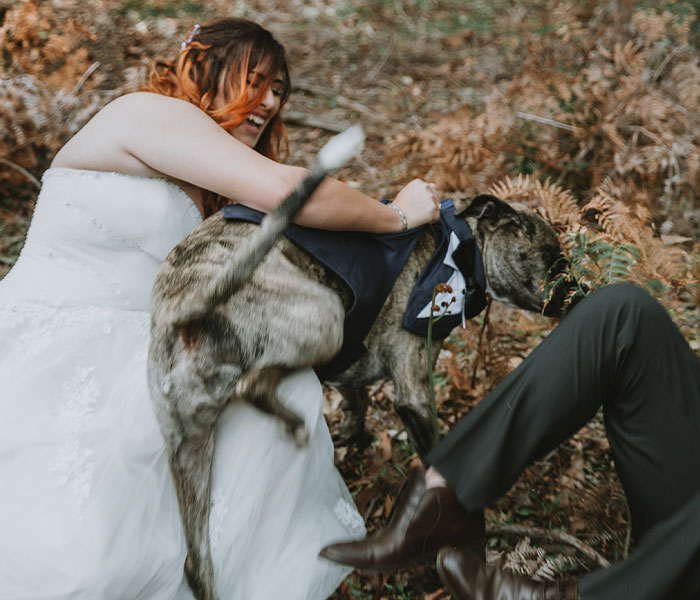 Dog Goes Viral For Photobombing Its Owners’ Wedding Picture, Others Share Their Own Pics Dog Goes Viral For Photobombing Its Owners’ Wedding Picture, Others Share Their Own Pics