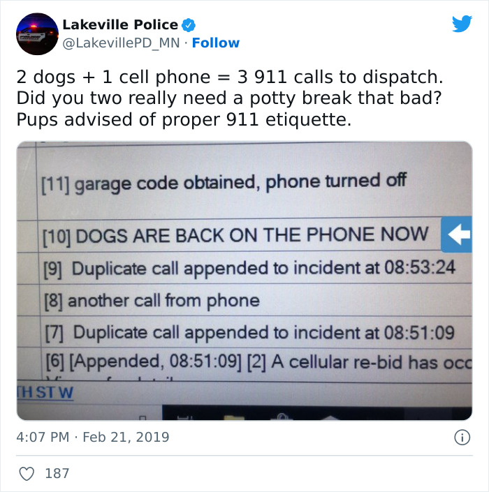 Police arrive at home after 16911 calls, only 2 dogs responsible.