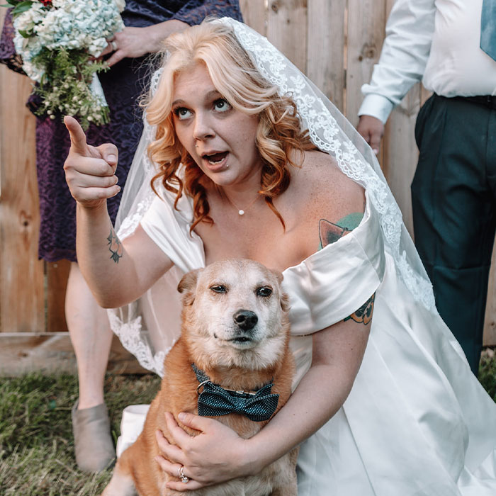 Este perro hizo photobomb en la boda de sus dueños, y la gente comparte fotos similares