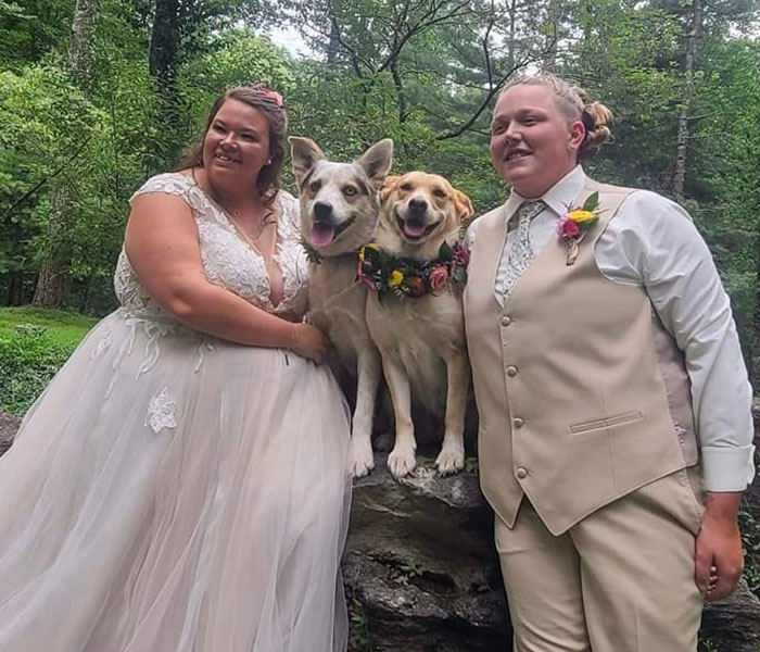 Dog Goes Viral For Photobombing Its Owners’ Wedding Picture, Others Share Their Own Pics Dog Goes Viral For Photobombing Its Owners’ Wedding Picture, Others Share Their Own Pics