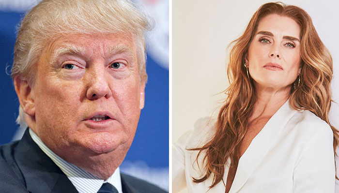 Donald Trump Was Rejected By Brooke Shields Who Already Had A Boyfriend