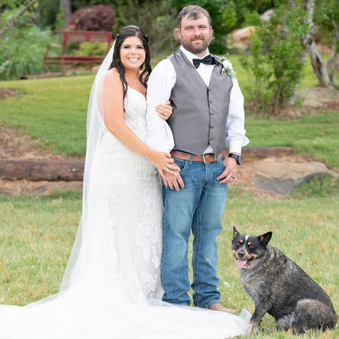 Este perro hizo photobomb en la boda de sus dueños, y la gente comparte fotos similares