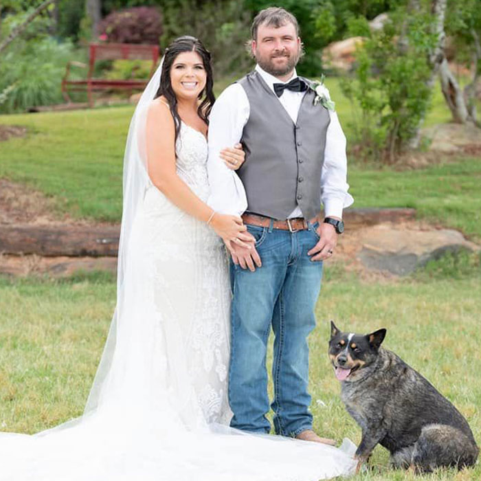 Dog Goes Viral For Photobombing Its Owners’ Wedding Picture, Others Share Their Own Pics Dog Goes Viral For Photobombing Its Owners’ Wedding Picture, Others Share Their Own Pics