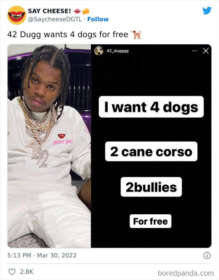 Famous Rapper Wants Expensive Breeds Of Dogs For Free