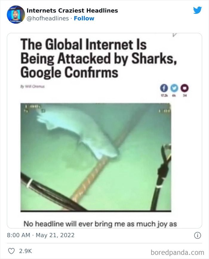 Crazy-Internet-Headlines