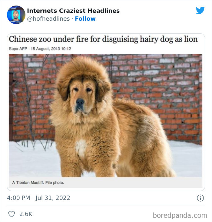 Crazy-Internet-Headlines
