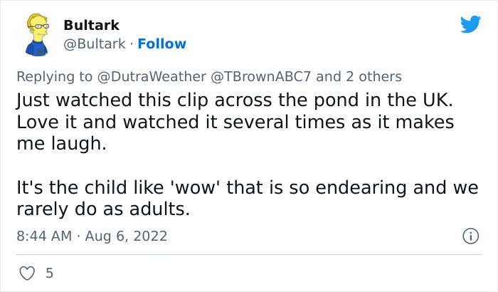 Weatherman Stunned To Discover His TV Is A Touch Screen, And The Internet Can’t Get Enough Weatherman Stunned To Discover His TV Is A Touch Screen, And The Internet Can’t Get Enough