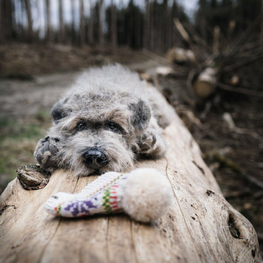 I’m Creating Pets And Animals By Hand, Only Using Needle, Thread And Faux Fur