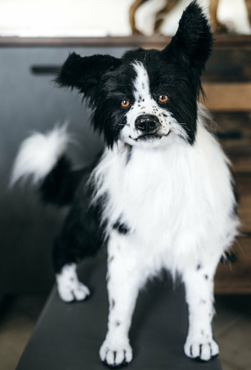 I’m Creating Pets And Animals By Hand, Only Using Needle, Thread And Faux Fur