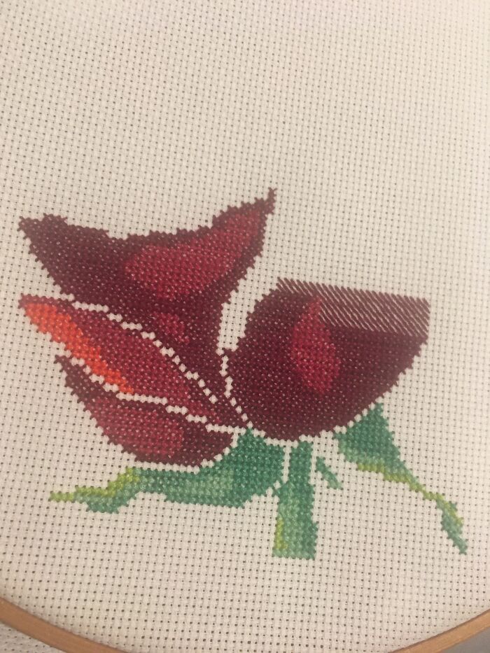Rose Cross Stitch For My Friends Birthday In September