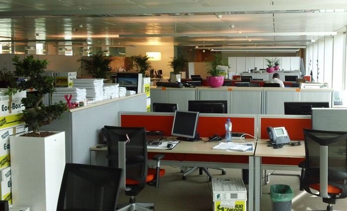 "Smallest Girl Out Of All Of Us Volunteered To Be The Bait": Employees Collect Evidence And Create A Plan To Get Rid Of Their Toxic Boss And Succeed "Smallest Girl Out Of All Of Us Volunteered To Be The Bait": Employees Collect Evidence And Create A Plan To Get Rid Of Their Toxic Boss And Succeed