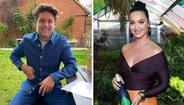 Niall Horan Was Rejected By Katy Perry Who Felt Like A Mom To Him