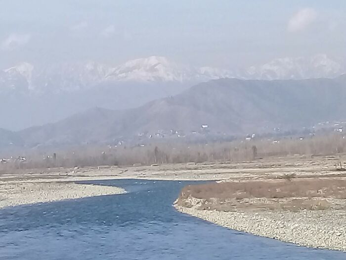 My Nature Photographs (5 Pics)