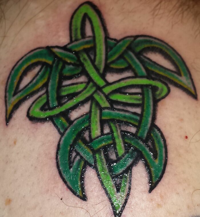 My Little Turtle Buddy With A Celtic Flair