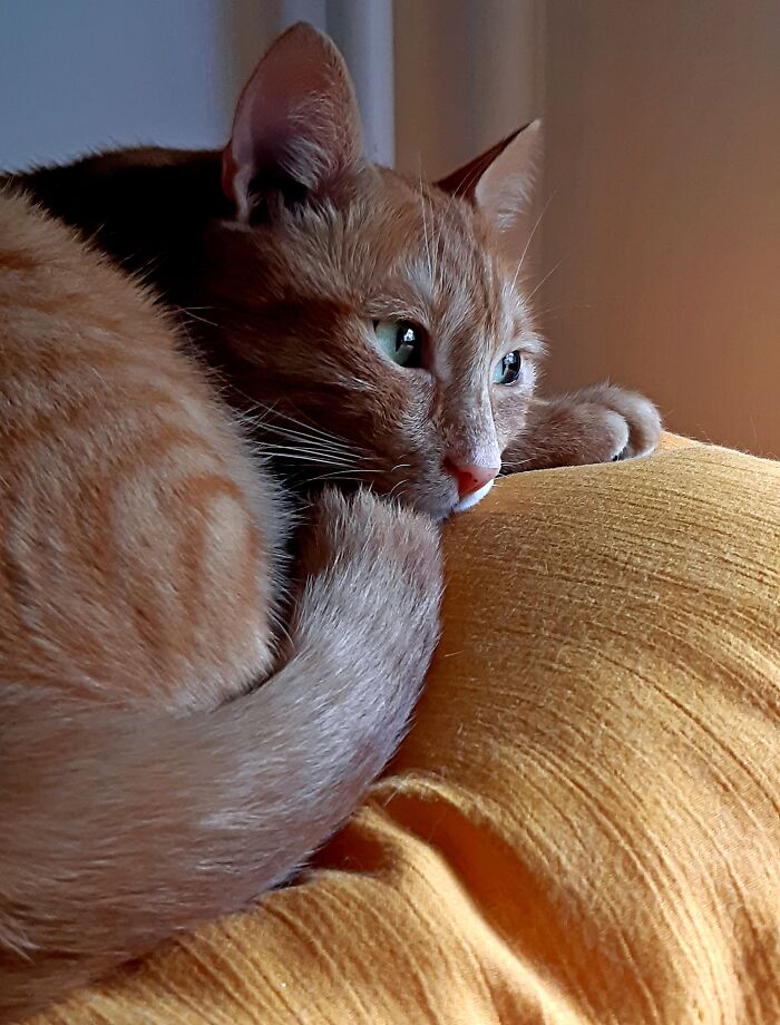 My Beautiful And Good Boy 🥰